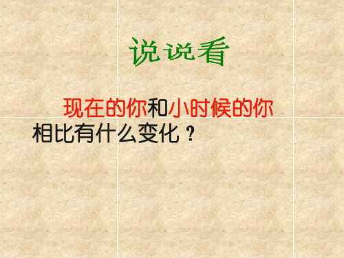 26《科利亚的木匣》ppt课件1(1)