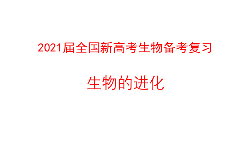 2021届全国新高考生物备考复习 生物的进化