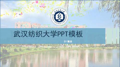 武汉纺织大学专用-商务风格-PPT模板1