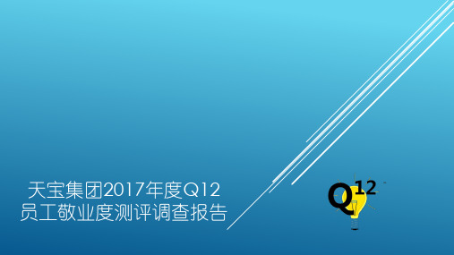 Q12报告