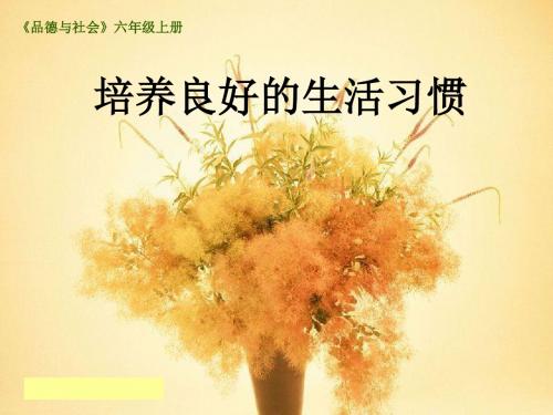 培养良好的生活习惯(第一课时)