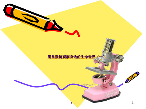 用显微镜观察身边的生命的世界(一)ppt课件