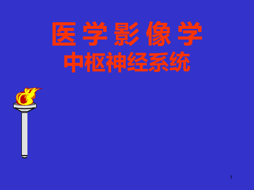 研医学影像学颅脑第三部分PPT课件