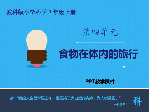 2食物在体内的旅行PPT课件