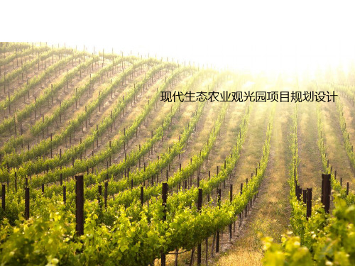 生态园规划设计汇报