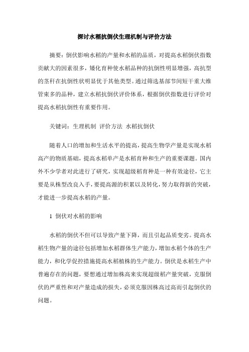 探讨水稻抗倒伏生理机制与评价方法