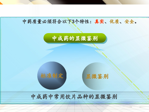 中成药粉末显微鉴别  ppt课件