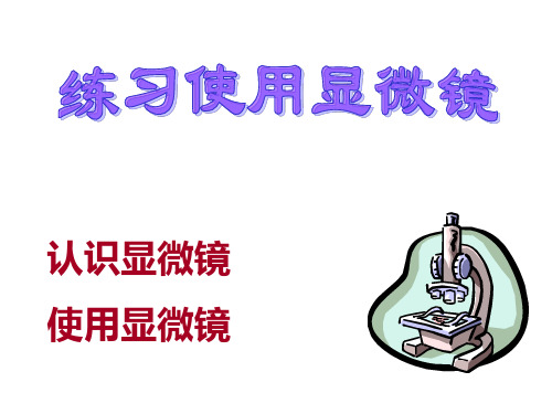 显微镜的放大倍数=目镜放大倍数×物镜放大倍数