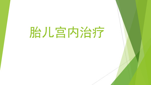 胎儿宫内治疗