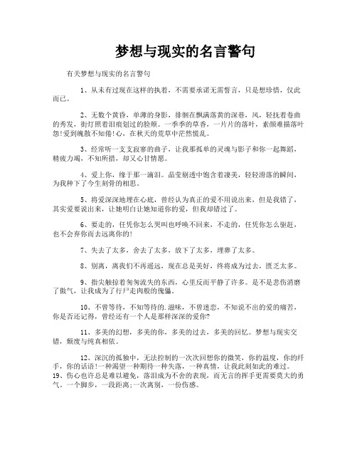 梦想与现实的名言警句