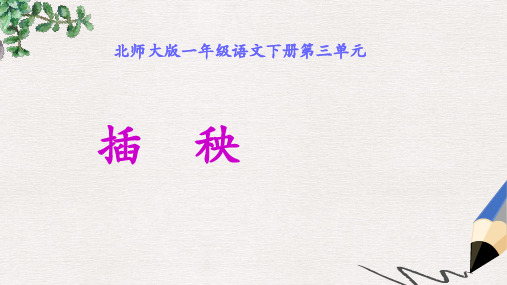 北师大版小学一年级语文下册3.2插秧精品ppt课件
