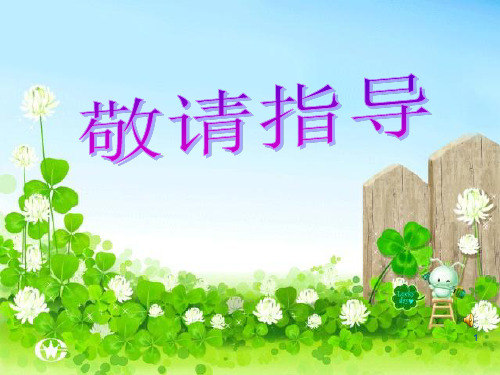 三颗枸杞豆ppt课件