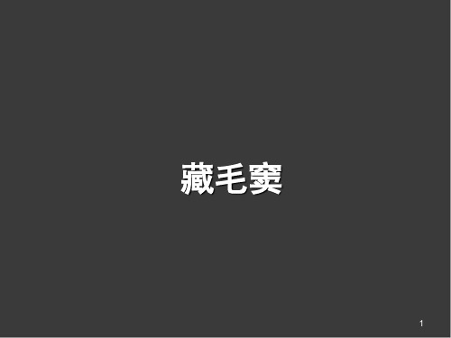 (医学课件)藏毛窦PPT幻灯片