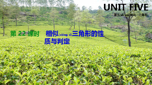 中考数学总复习 第五单元 三角形 第22课时 相似三角形的性质与判定课件