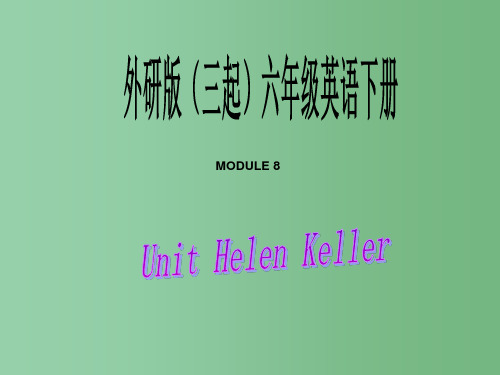 六年级英语下册 Module 8 Unit 1(3)课件 外研版(三起)