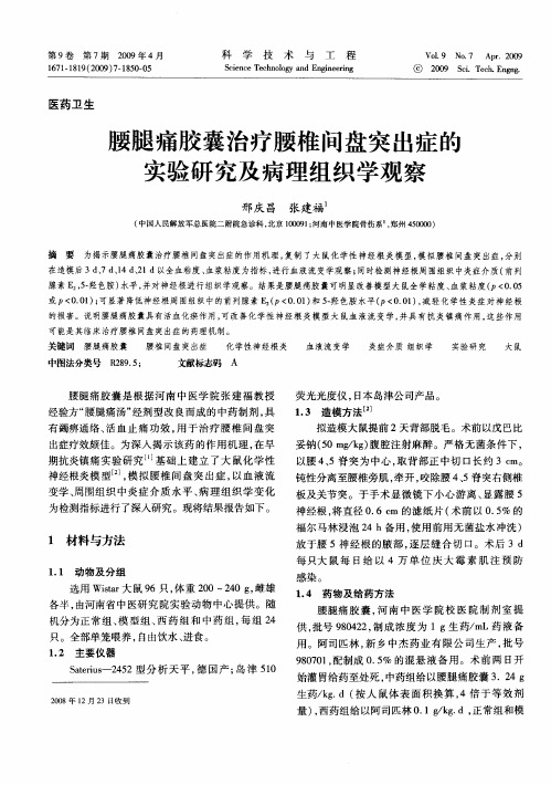 腰腿痛胶囊治疗腰椎间盘突出症的实验研究及病理组织学观察