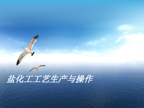 任务6：固碱生产