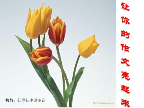 《让你的作文亮起来》