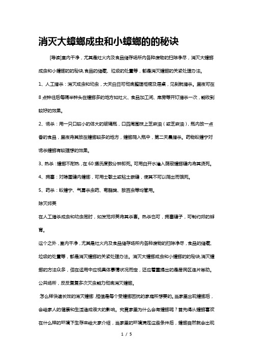 消灭大蟑螂成虫和小蟑螂的的秘诀