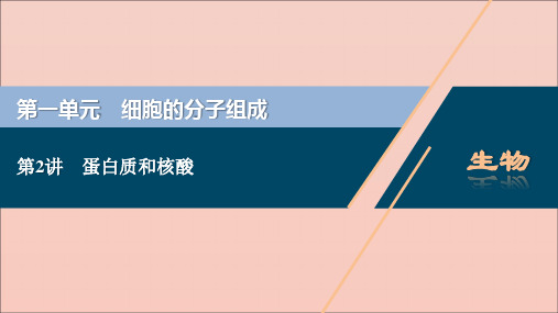 (选考)2021版新高考生物一轮复习第一单元细胞的分子组成第2讲蛋白质和核酸课件新人教版