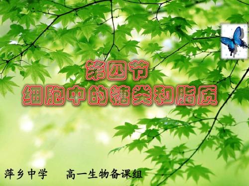 第二章第四节 细胞中的糖类和脂质