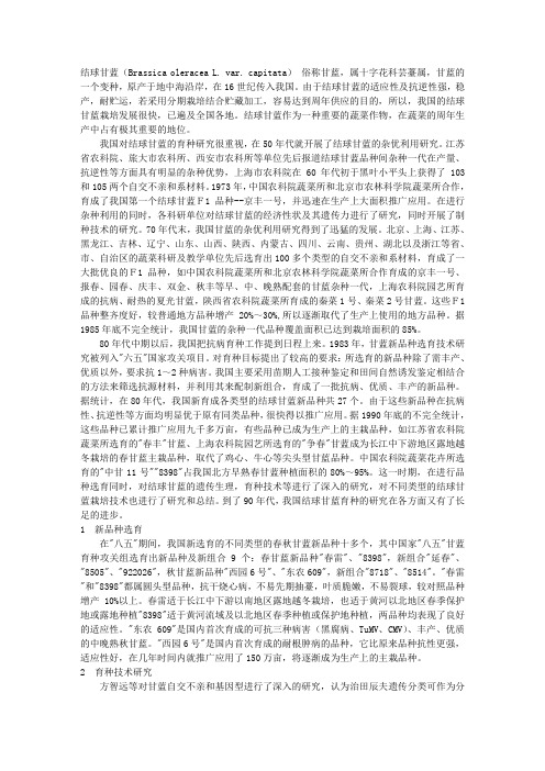 我国结球甘蓝育种研究的现状及展望