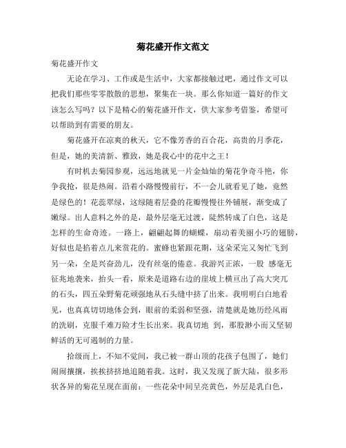 菊花盛开作文范文