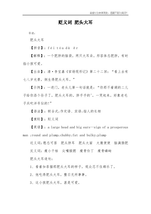 贬义词 肥头大耳