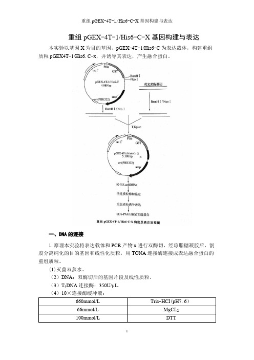 重组pGEX-4T-1His6-C-X基因构建与表达