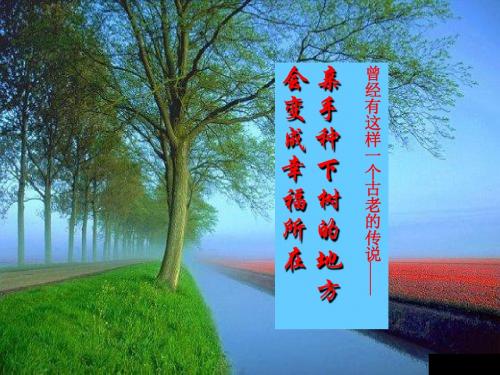 大树和我们的生活PPT2 沪教版 (共14张PPT)