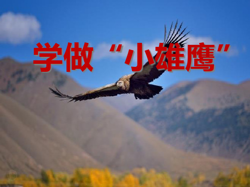 《学做“小雄鹰”》我们真棒PPT课件五