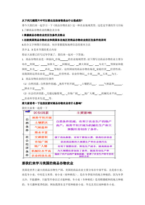 商品谷物农业教学设计