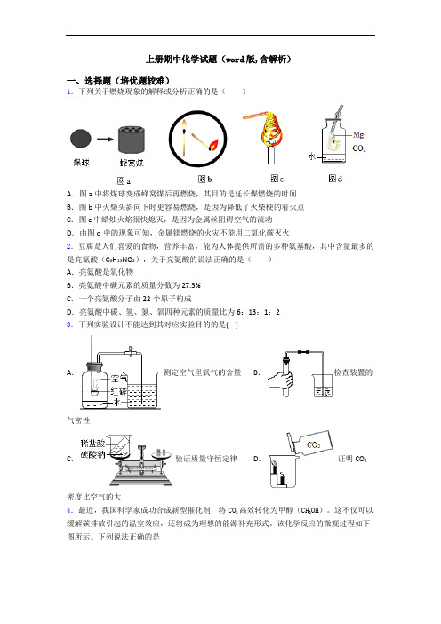初三化学上册期中化学试题(word版,含解析)