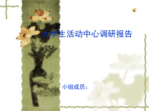 调研报告.ppt