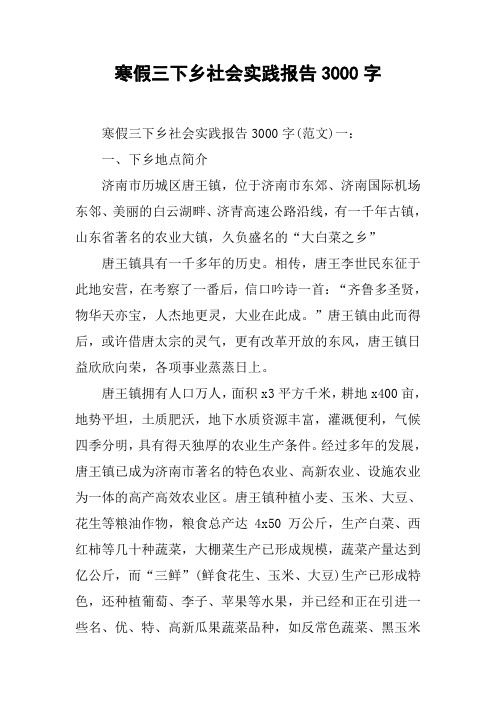 寒假三下乡社会实践报告3000字