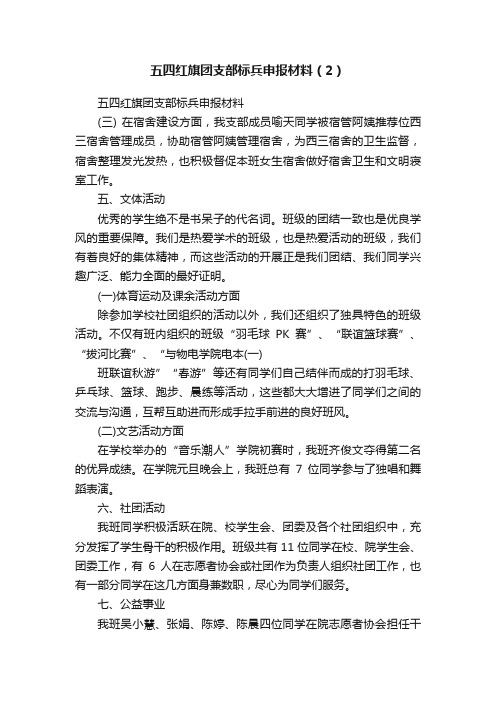 五四红旗团支部标兵申报材料（2）