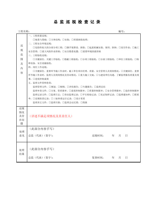 总监巡视检查记录