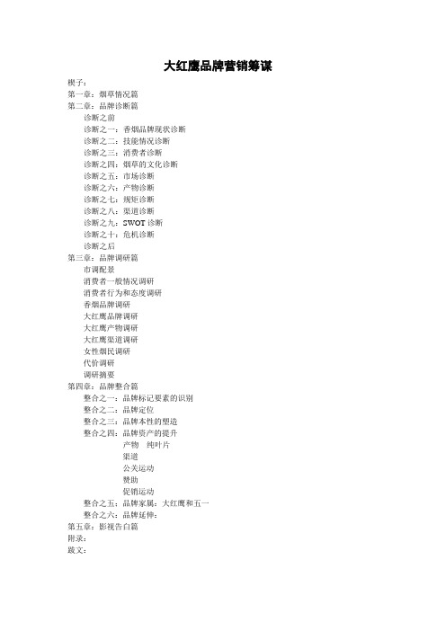 大红鹰品牌营销策划1