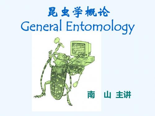 第十一章 昆虫的胚胎发育