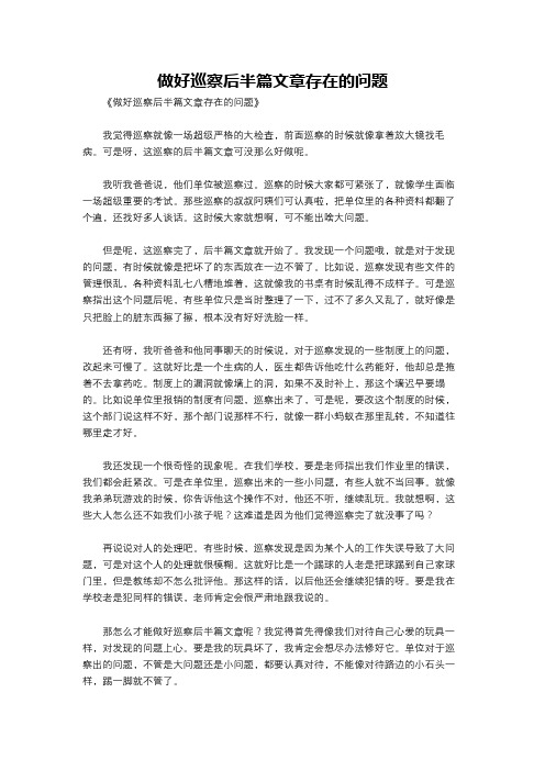 做好巡察后半篇文章存在的问题