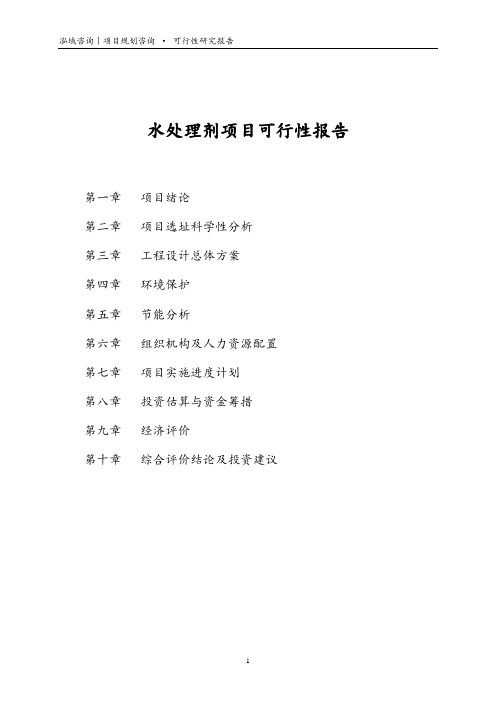 水处理剂项目可行性报告