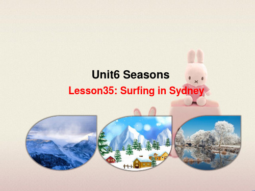 2022年冀教版《Lesson35 Surfing in Sydney》课件 (5)