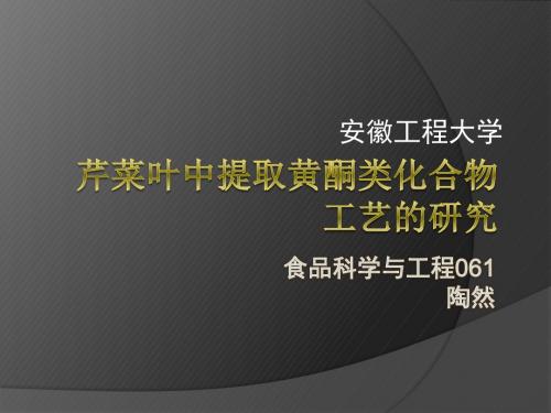 芹菜叶中提取黄酮类化合物
