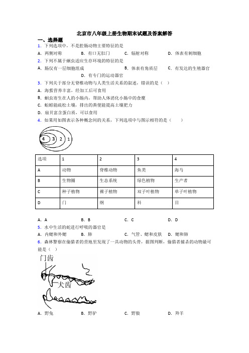 北京市八年级上册生物期末试题及答案解答