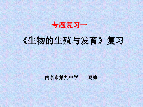 初中生物  初中生物中考专题复习 人教版精品课件