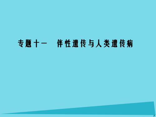 高考生物一轮复习 专题11 伴性遗传与人类遗传病课件