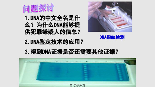 高一生物核酸PPT课件