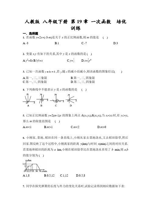 2020-2021学年人教版 八年级下册 第19章 一次函数  培优训练(含答案)