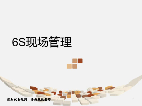 6S现场管理知识(PPT61页).pptx