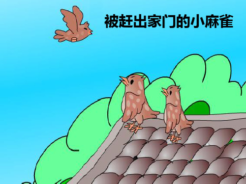北京版二年级语文下册《被赶出家门的小麻雀》课件